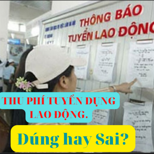 Công ty có được thu lệ phí tuyển dụng lao động không?